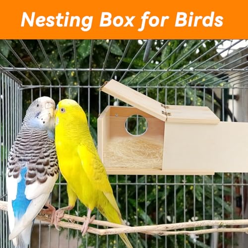 PINVNBY Nesting Box for Birds,Wooden Parakeet Nest Box with Detachable Board Transparent Visual Cockatiel House for Budgie Lovebird Conure Parrot (XL) - size: X-Large