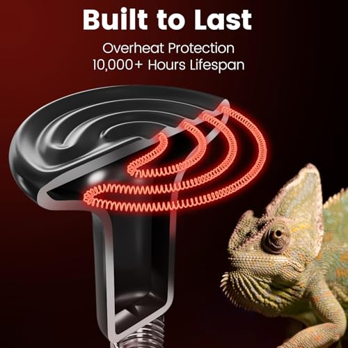 Dual Reptile Light Fixture with 100W Daytime Heat Bulb & 100W Nighttime Ceramic Heat Emitter, 2 Independent Switches, Reptile Heat Lamp Combo Pack - No UVB - size: ST1