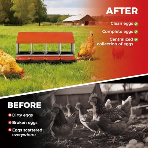 4-Hole Chicken Nesting Box, Roll Away Nest with Removable Tray, Easy Egg Collection & Cleaning, Wall-Mount Nesting Boxes for Hens, Chicken Coop - Orange - color: Orange-4 Compartments
