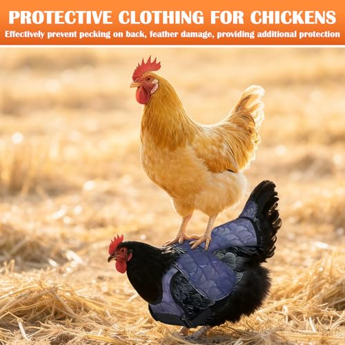 Chicken Saddles for Hens, Chicken Apron Back Protector for Hens with Adjustable Strap, Chickens Hen Mating Saddle with Wing Cover-Black - color: Black