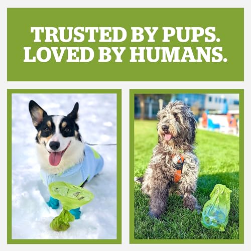 Pogi's Compostable Poop Bags for Home & Yard – Leak-Proof, Extra-Large, Made with Plants (Single Roll, 300-Count) - size: 1 Count (Pack of 300)