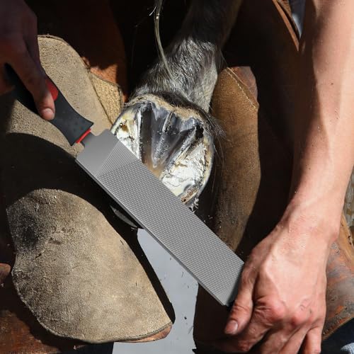 Gisafai 2 Pcs 12 Inch Rasps for Shoeing Horses with Handle Trimming File Carbon Steel Farrier Tools for Repair Horse Goat Hooves Cow Donkey Pig Animal Hooves Repairing Wood Working Supplie - size: 12 Inch