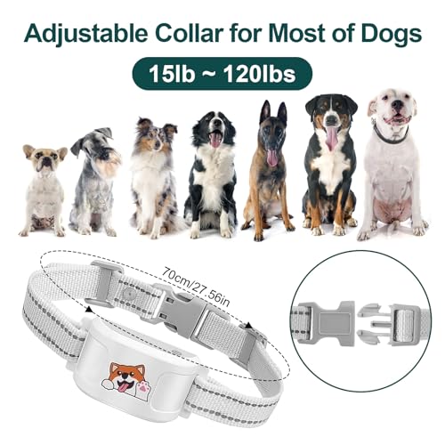 Electric Fence System with Training Collar, GPS Wireless Dog Fence with Free App, Rechargeable Fence for Outdoor Use, Adjustable Waterproof Pet Containment System
