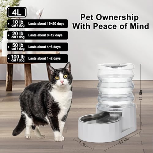 RIZZARI 4L Gravity Cat Water Dispenser: Filter-Free Compact Home Use | No Power Needed/Stainless Steel Bowl/Spill-Resistant Base/Perfect For Cats & Small Dogs/Easy Water Refill - color: White, size: 4L, without Filter