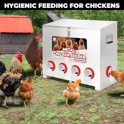 Chicken Feeder 85LB,6-Port Metal Poultry Feeder for Chickens, Poultry Coop | No Waste with Locking Lid&Riveted Handles,Adjustable Height,Large Capacity Rainproof Automatic Chicken Feeders