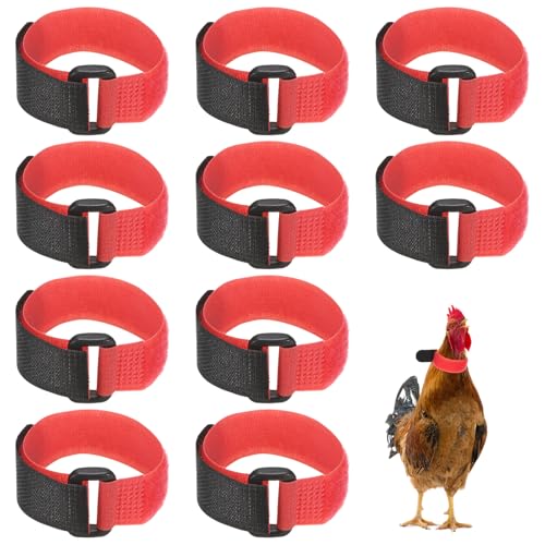 M METERXITY 10-Pack Rooster Collars, 8.07" x 0.79" Adjustable Soft Polyester Anti-Noise Neck Belt for Chickens and Poultry Birds, Noise Control Collar [Red] - color: Red
