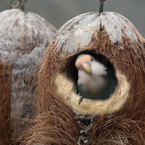 Natural Mixing Bird Nesting Materials,4 Kinds of Material Professional Ratio Matching Nesting Material Pads for Bird,Bird Nesting Material for Budgie,Parrot,Finche,Canaries,Other Birds（1.4oz/40g） - style: 1.4oz/40g