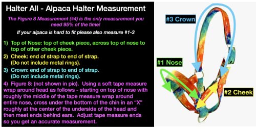 Alpaca Halter, S M L, Made in USA, Lead, Fence Tie, 24 Patterns, Figure 8, Small, Medium, Large, Livestock (Teal, Medium)