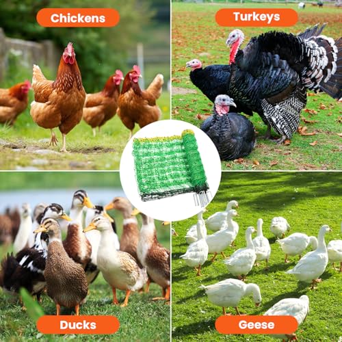 Electric Poultry Netting,47.2" H x 164'L Electric Chicken Fence for Turkeys | for Chickens, Sheep, Geese, Portable Poultry Nets Fence kit for the Yard,Backyards,Farms,Ranches, Energizer Not Included