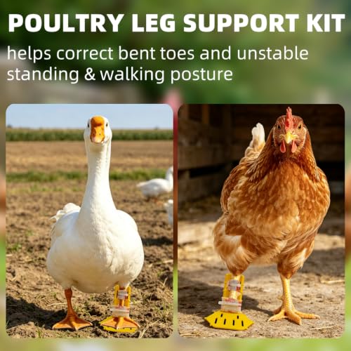 4 Sizes Poultry Leg-Splint Set, Leg Support for Injured Chicken, Goose, Duck - color: Yellow And White