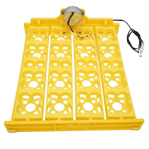 Egg Turning Tray, AC 110V Chicken Multifunction Automatic Turner Incubation, Quail Incubators for 16 Duck Eggs 16 Eggs 72 Quail Eggs - size: AC110V