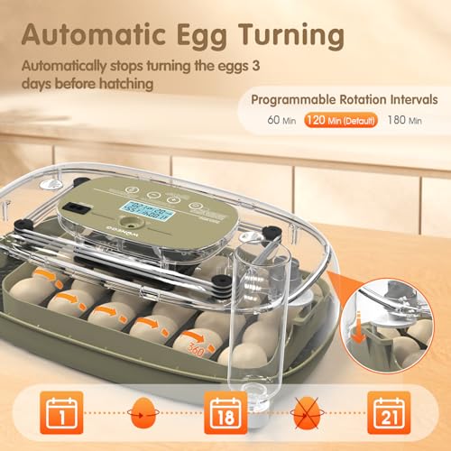 Egg Incubators Incubator for Hatching Eggs 24 Eggs Egg Incubator for Lab Home Farm with Automatic Egg Turning for Chicken, Ducks, Goose, Quail - size: 24 eggs