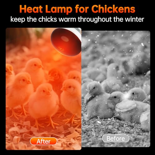LUCKY HERP Heat Lamp for Chickens, 250 Watt Red Heat Lamp Bulbs, Infrared Heat Lamp for Chickens, Chicks, Reptile, Pets, Brooder Coop, Poultry (2 Pack) - size: 250*2