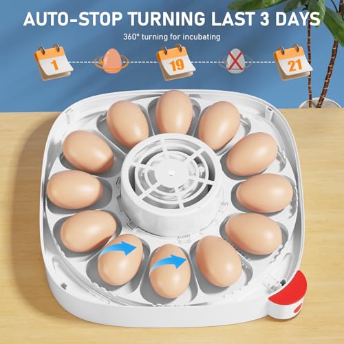 Sailnovo 12 Egg Incubator with Automatic Egg Turning & Temperature Control | Manual & Preset Modes,Built-in Candler,360°View Window,Humidity Display,Chicken Duck Quail Eggs Home Classroom Lab