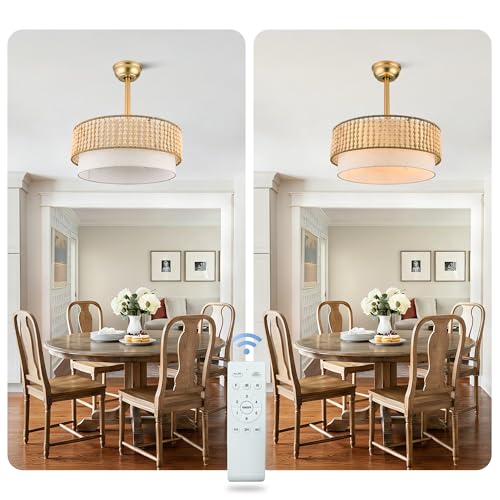 20" Gold Fandelier Ceiling Fan with Lights Boho Caged Ceiling Fan | Small Enclosed Fabric Chandelier for Bedroom Nursery Living Room, Reversible DC Motor 6 Speeds, 4 E26 Bulbs (Not Included) - color: Double Layer