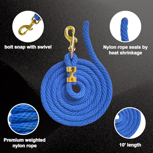 5/8" x 8' Nylon Horse Lead Rope (Royal Blue) | Durable nylon material, cast iron hardware, ideal for daily use, training and showing. - color: Royal Blue