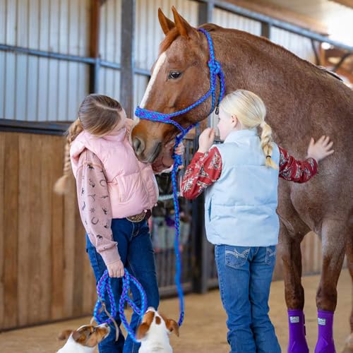 Jeffers Equine Braided Mule Tape Halter with 10' Detachable Lead Rope Set for Horses, 14 to 18 Hands - Stylish Design with Adjustable Poll Strap, Easy to Use Western Tack - Turquoise & Purple - color: Turquoise & Purple