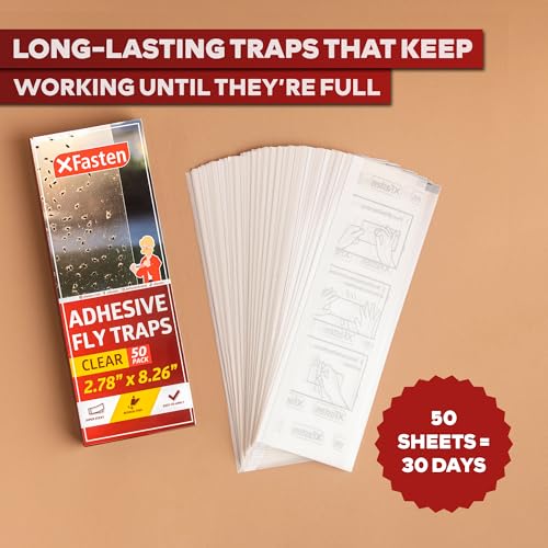 XFasten Window Fly Traps Sticky Clear 50-Pack Fruit Fly Traps for Indoors Sticky, Residue-Free, Odorless, Discreet Adhesive Indoor Catcher for Fruit Flies Houseflies, Gnats on Windows Kitchen Garage - style: 50-Pack
