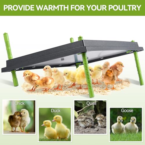 Chick Brooder Heater Plate for Up to 50 Baby Chicks Ducks | 16"x22" Brooder Plate for Chicks, Adjustable Height, Energy Saving, 50W, 110V - size: 22"L x 16"W