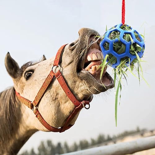 Horse Hay Feeder Ball with Rope, Durable Plastic Slow Feeding Ball for Horses, Equine Chew & Foraging Enrichment, Ideal for Hens Coop Goose Duck Large Birds (Blue)