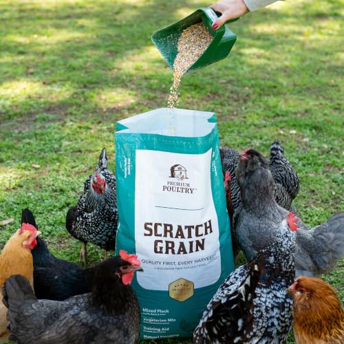 Chicken Scratch Grain for Chickens, Ducks & Turkeys, Natural 3-Grain Scratch Feed Treat, Made in USA, Foraging & Energy Support, 80 lbs - size: 80lb (Pack of 1), style: Scratch Grain
