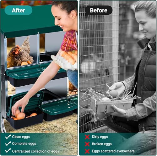 Chicken Nesting Box, 10 Compartments Roll Away Eggs Laying Boxes, Cleanable Pull Out Hen Roosting Boxes with Mental Leg, Durable & Easy to Install, Green - color: Green, size: 10 holes with legs
