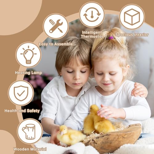 25-Piece Large Chicken Brooder Box 32", Drawer Manure Separation, All-in-One Kit, Up to 35 Chicks, Brooder with Temp Controller, Thermometer, Chicken Brooder Box for Quail, Hamsters, Pattern C - size: 31.5"L x 15.75"W x 15.75"H