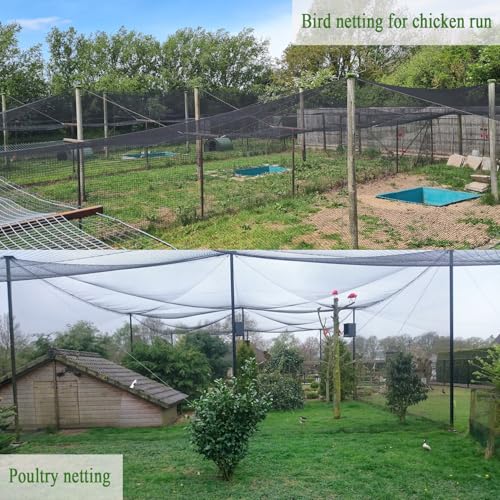 Bird Netting for Chicken Coop 30x30 Ft, 1/2" Mesh Aviary Netting | Aviary Netting - size: 30x30Ft-1/2"
