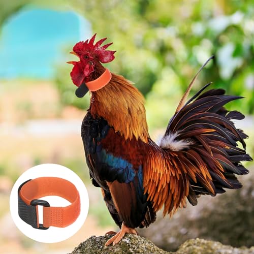 M METERXITY 10-Pack Rooster Collars, 8.07" x 0.79" Adjustable Soft Polyester Anti-Noise Neck Belt for Chickens and Poultry Birds, Noise Control Collar [Orange] - color: Orange