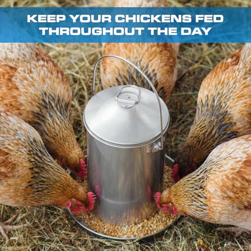 Plexon 6.6 Lb Hanging Chicken Feeder Metal Chicken Feeder with Handle no Waste Food - Stainless Steel - Turkey Duck Poultry Feeder - Heavy Duty Feeding Equipment - Backyard Coop - Small - size: 6.6 LB
