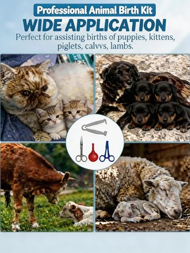 Animal Birth Kit with Curved Scissors, Disposable Umbilical Clamps, Hemostat, Bulb Syringe, Safe Delivery for Puppies, Kittens, Lambs, Piglets & Calves, Farm & Home Use