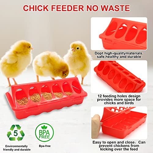 Chick Feeder and Waterer Kit with Chick Perch, 1l Chick Waterer, Flip Top Poultry Feeder, Chick Starter Kit for Chick Brooder, Baby Chicken Supplies for Baby Chick, Duck and Quail - color: Chick Feeder and Waterer Kit with Chick Perch