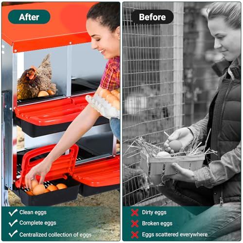 Chicken Nesting Box, 10 Compartment Roll Away Nesting Box for Eggs, Chicken Laying Box with Egg Collection, Cleanable Pull Out Hen Roosting Boxes ﻿
