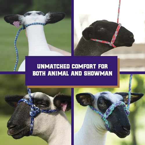 Weaver Livestock Poly Rope Sheep Halter, Modern Style Braid Sheep and Goat Rope Halter - color: Black