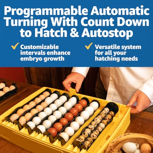 Brinsea Ovation 56 EX Connect Fully Automatic Smart Egg Incubator with App | 50+ years of innovation! Ultimate smart incubator with app-driven controls and real time alerts gives you total peace of mind - style: Connected