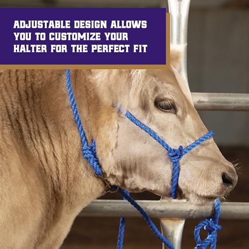 Weaver Livestock Braided Poly Rope Cattle Halter, Adjustable, Modern Style Cow Calf Halter, Livestock Handling Equipment for Showing, Black - color: Black, size: One Size