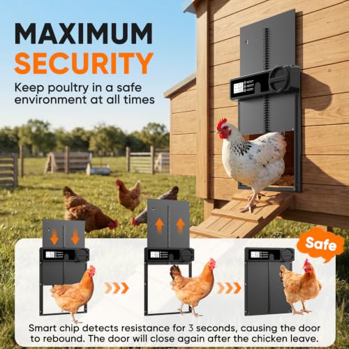 INNOLAND Large Size Automatic Chicken Coop Door - Reinforced Gear Drive | Anti-Pinch Automatic Chicken Door, Timer & Manual Mode, Battery Powered Chicken Coop Door, Aluminum Alloy & External Track