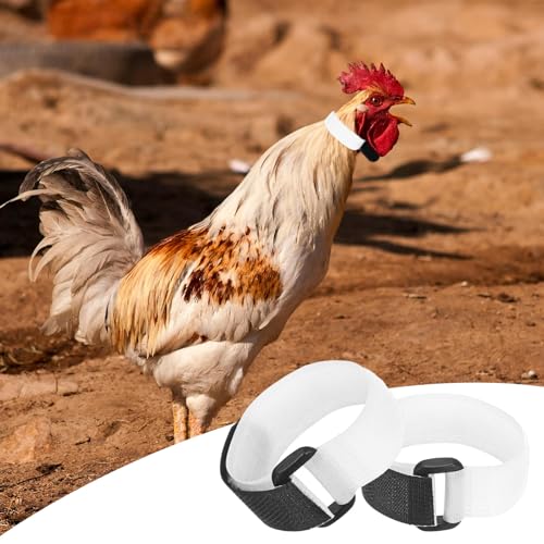 M METERXITY 10-Pack Rooster Collars, 8.07" x 0.79" Adjustable Soft Polyester Anti-Noise Neck Belt for Chickens and Poultry Birds, Noise Control Collar [White] - color: White