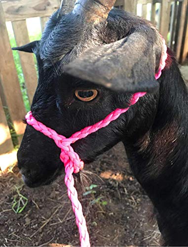 Adustable Goat Halter and Sheep Halter Light Pink Small Livestock Halter