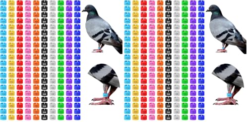 200 Pcs 8mm Chick Leg Bands, Colorful Numbered Bird Quail Leg Rings Identification Legs Bands Baby Chicken Supplies Poultry Tags for Chick Bantam Finch Dove Small Birds (Ten Colors) (Pack of 2) - size: 0.4 x 0.4 x 0.27 inches (Pack of 2)