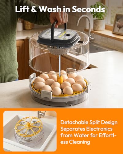 Egg Incubator for Hatching with Temperature Control