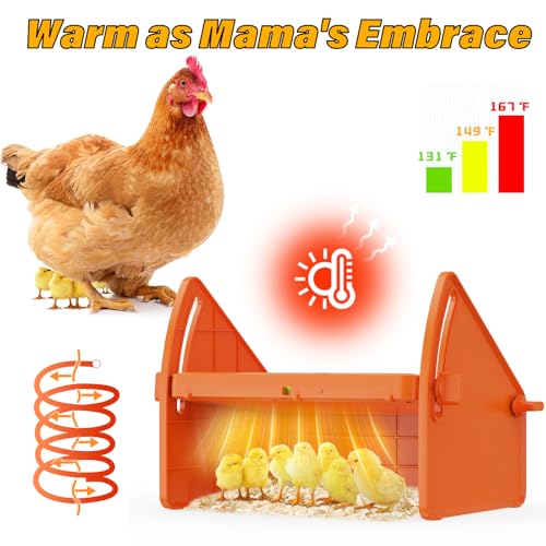Chick Brooder Heater Plate for Baby Chicks, Ducklings & Poultry | 3-Level Adjustable Temperature Heating Plate, 8.67 x 10.63 Inches, Orange Poultry Brooder Warmer - color: Orange