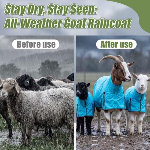 Goat Sheep Blanket -Summer Sun Protection Rain Coat for Show Goats Sheep Lambs Livestock Lightweight Waterproof Fly Sheet with Adjustable Belly Straps(M) - size: M