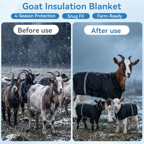 Waterproof Goat Blanket with Removable Liner for Winter | 600D Waterproof Goat Coat With Removable Liner, Reflective Strips, Adjustable Straps For Winter Warmth