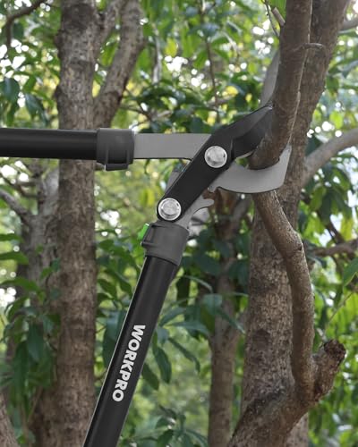 WORKPRO Bypass Lopper for Gardening, 28" Branch Cutter with Gear System | Heavy Duty Pruning Shear, SK5 Blade, 1.5" Cutting Capacity, Shock Absorbing Bumper, Comfort Handle, for Tree Trimming - size: 1PC - 28" Lopper