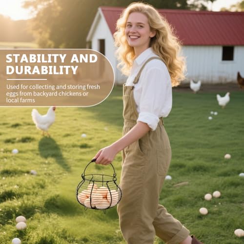 Wire Egg Basket for Gathering Fresh Eggs Holder,Holds About 20 Large Eggs | Retro Handle Egg Gathering Basket,Metal Eggss Holder Countertop,Farmhouse Eggs Storage Container for Farmhouse (Black) - color: Black