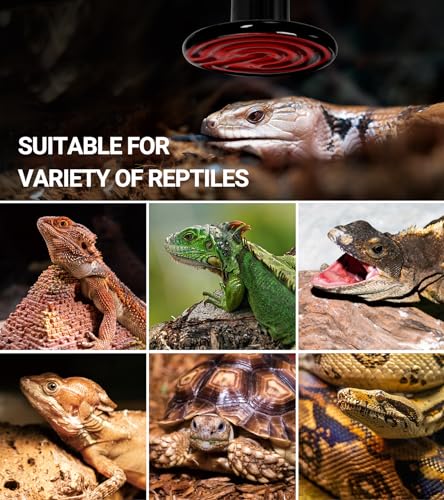 REPTI ZOO 2Pack Ceramic Heat Emitter 60W Reptile Heat Lamp Night Heat Lamp Bulbs Reptile Terrarium Heat lamp Tank Heat Bulb for Turtle Bearded Dragon Gecko Lizard Snake Chicken E26 - style: 60W/2PCS