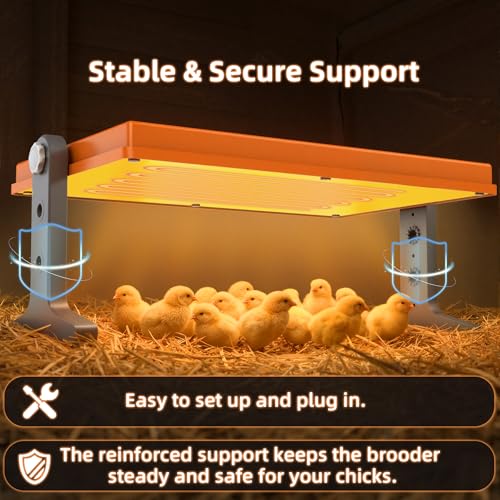 Chick Brooder Heater Plate, 12"x7.9" Warm Brooder Plate for Chicks Poultry | Chicken Brooder with Adjustable Height, Angle & Temperature, 50W Heat Plate for Chicks Poultry, Warm like Mother Hen