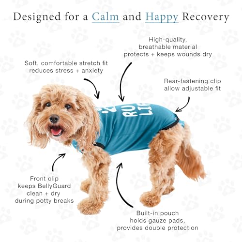 Dog Surgery Recovery Suit, Male Female After Spay Neuter Onesie | Soft Breathable Cotton, Anti-licking Cone Alternative, Protects Stitches & Abdominal Wounds, Patented Clip-up Potty System - color: Blue, size: Small