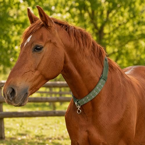 DOITOOL Cow Collar Canvas Calf Cattle Neck Collar, Adjustable Nylon Thickened Livestock Traction Neck Strap with 2 Rows Metal Buckle for Farm Goat Horse Goat Sheep Camel, Green